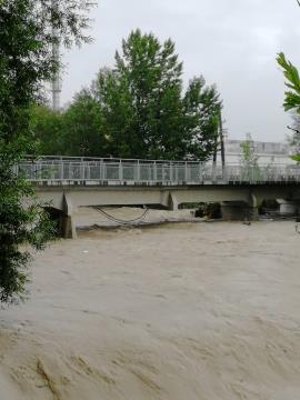 Železniški most pri Papirnici Količevo 1